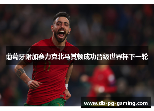 葡萄牙附加赛力克北马其顿成功晋级世界杯下一轮